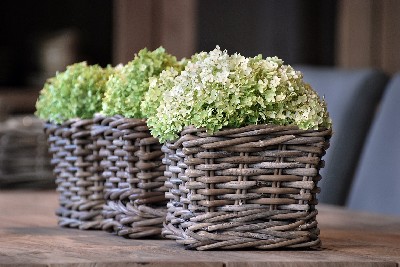 Baskets Category