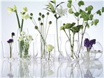 vase category