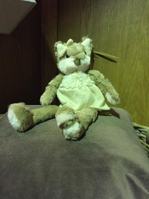 Chelsea Fox Teddy Bear