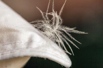 Down Detail